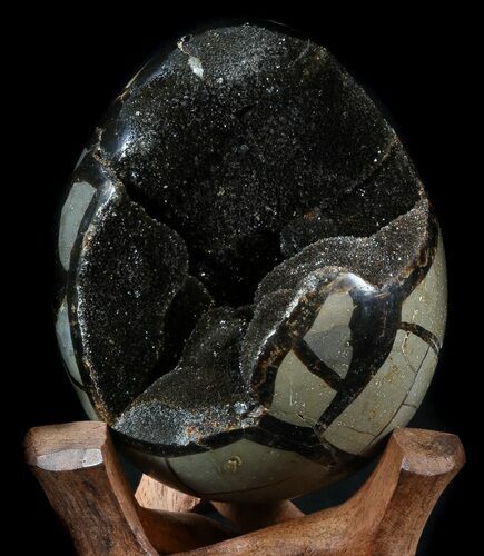 Septarian Dragon Egg Geode - Shiny Black Crystals #34716
